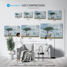 Load image into Gallery viewer, Street elements by Roxana Labagnara