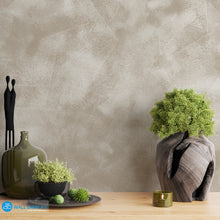 Load image into Gallery viewer, Limewash Wallpaper in Dubai, Abu Dhabi and all UAE