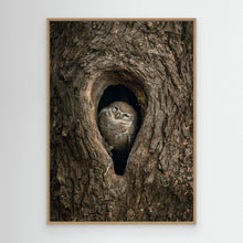 Load image into Gallery viewer, Peek from the Bark by Khaldoon Aldway