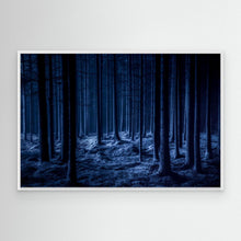 Load image into Gallery viewer, Dark Blue Forest Night by Benny Pettersson