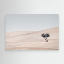 Load image into Gallery viewer, The Last Shade by Khaldoon Aldway