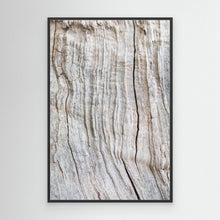 Load image into Gallery viewer, Wood Pattern by Pictufy Studio Iii