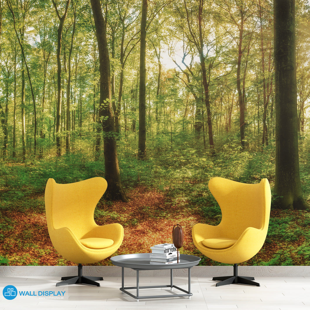 Forest - Wall Mural