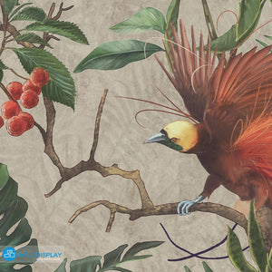Birds of Paradise - Pattern Wallpaper in dubai, Abu Dhabi and all UAE