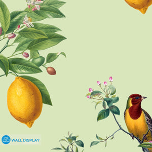 Citrus Blooms - Pattern Wallpaper walldisplay wallpaper-dubai