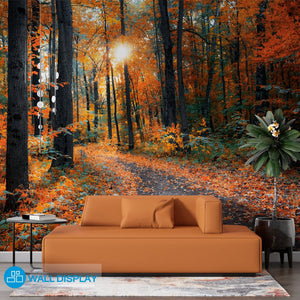 Forest in Autumn Colors - Wall Mural walldisplay wallpaper-dubai