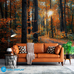 Forest in Autumn Colors - Wall Mural in dubai, Abu Dhabi and all UAE