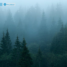 Load image into Gallery viewer, Misty Forest I - Wall Mural walldisplay wallpaper-dubai
