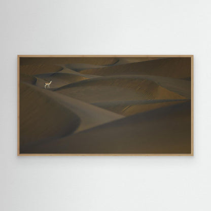 Desert Sentinel