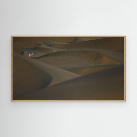Desert Sentinel