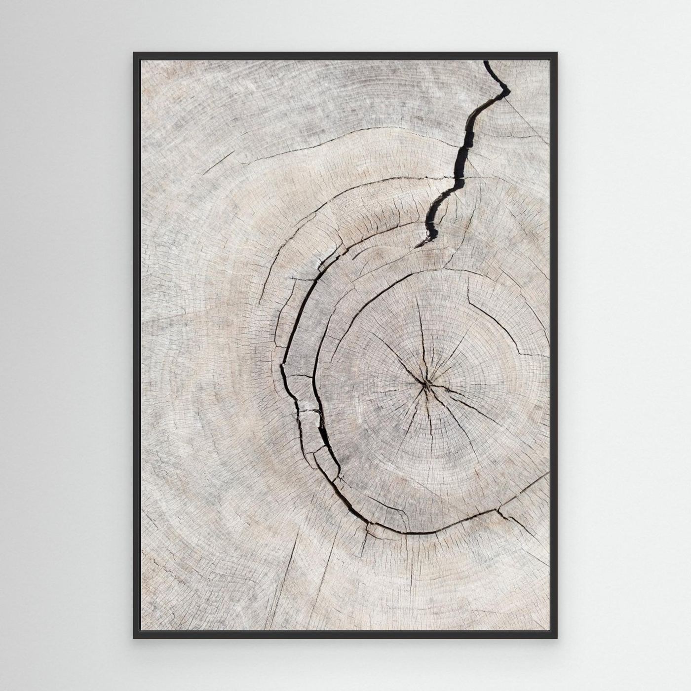 Pattern_wood_2 by Pictufy Studio Iii