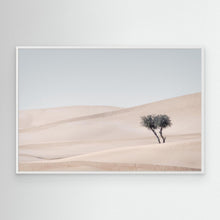 Load image into Gallery viewer, The Last Shade by Khaldoon Aldway