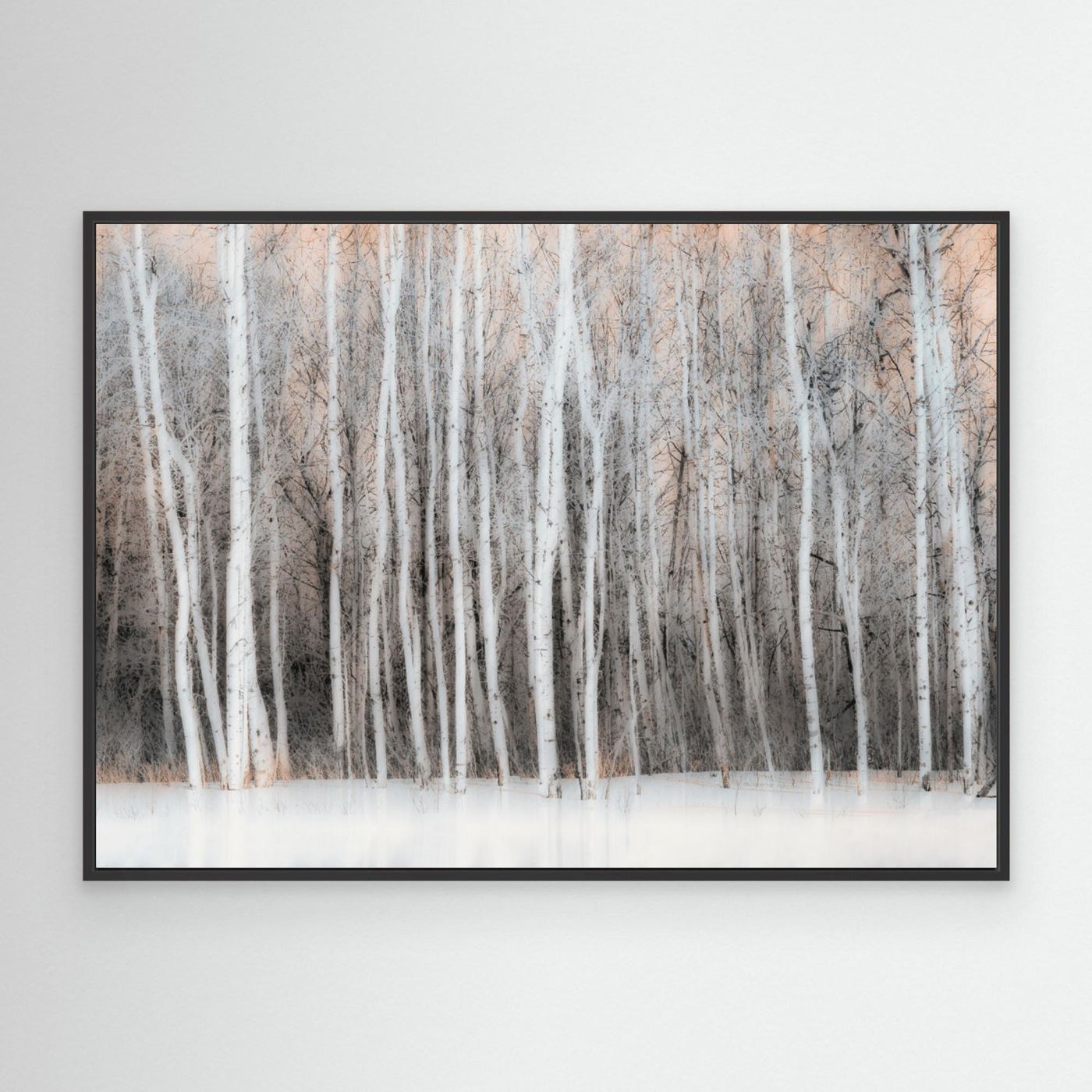 Ethereal Birch Forest by Lucie Gagnon