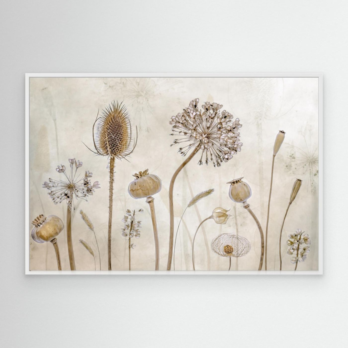 Growing old by Mandy Disher