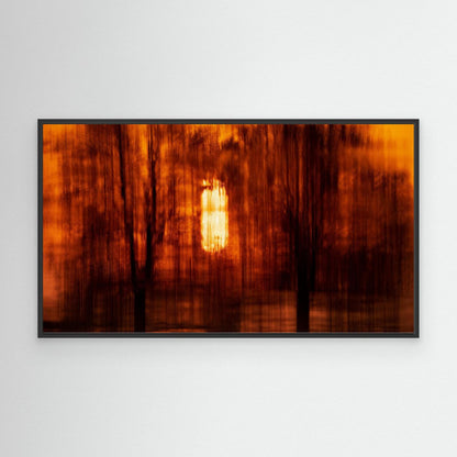 Amber Silence