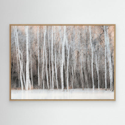 Ethereal Birch Forest by Lucie Gagnon
