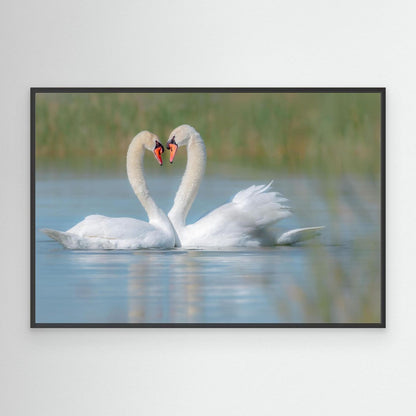 Love on the Lake by Khaldoon Aldway