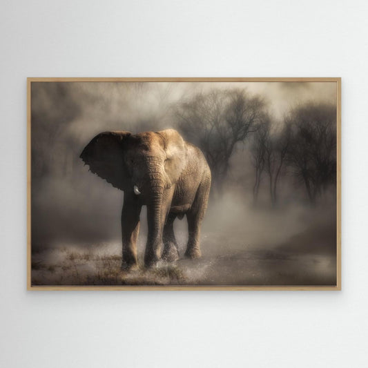 Misty Elephant Walk by Charlaine Gerber