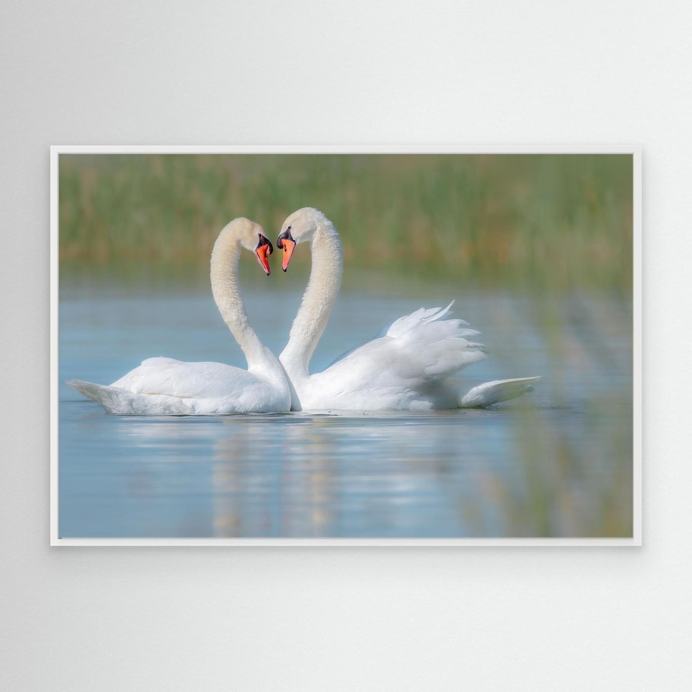 Love on the Lake by Khaldoon Aldway