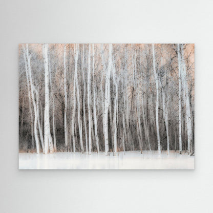 Ethereal Birch Forest by Lucie Gagnon