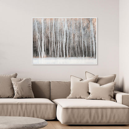Ethereal Birch Forest by Lucie Gagnon