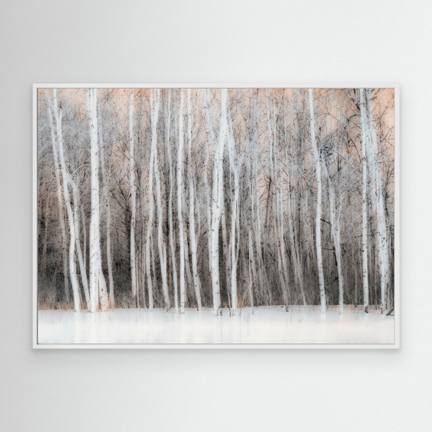 Ethereal Birch Forest by Lucie Gagnon
