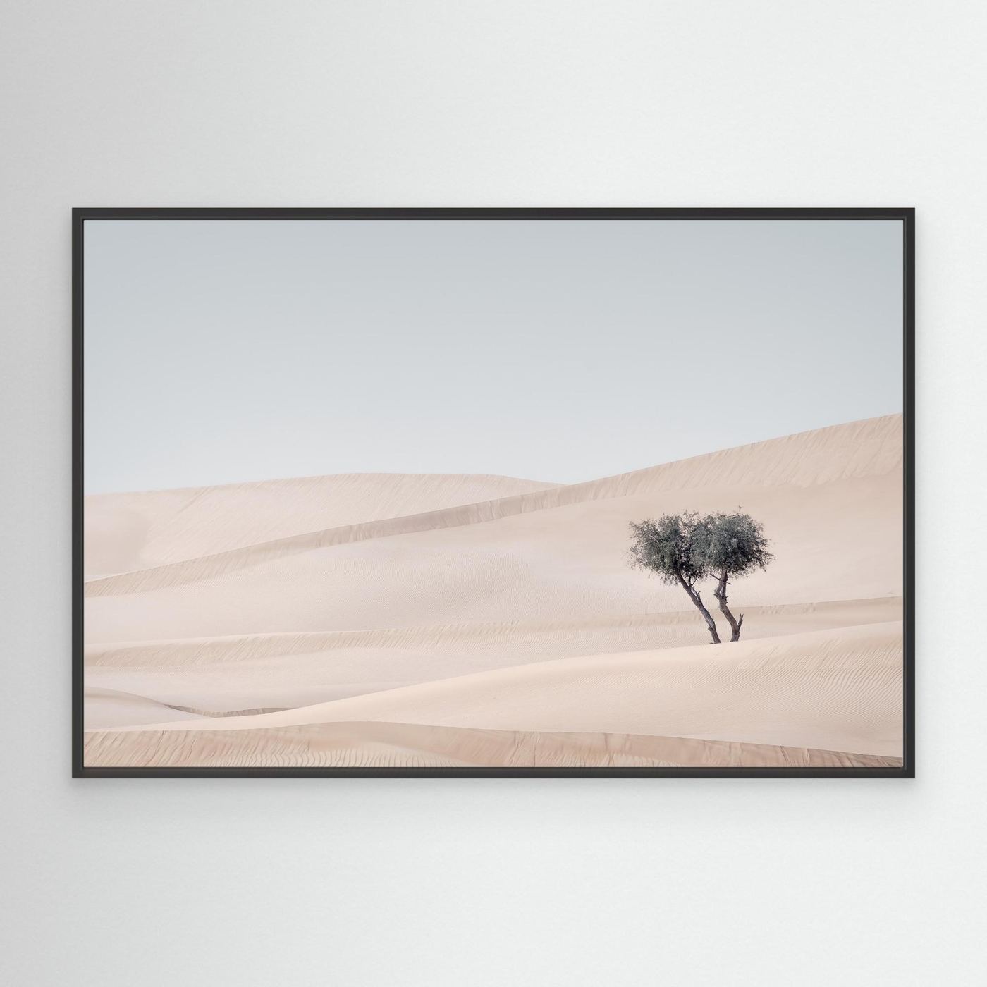 The Last Shade by Khaldoon Aldway