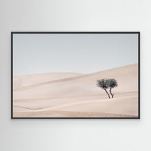 Load image into Gallery viewer, The Last Shade by Khaldoon Aldway