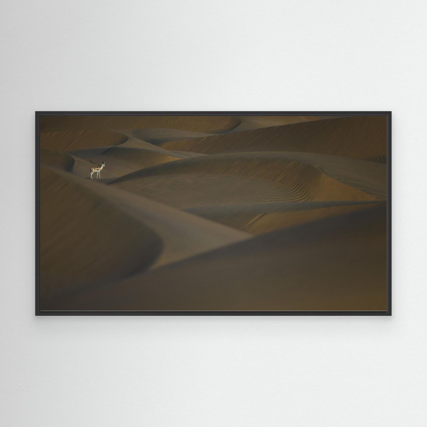 Desert Sentinel