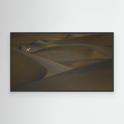 Desert Sentinel