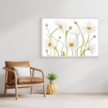 Load image into Gallery viewer, Ox eye Daisies by Mandy Disher