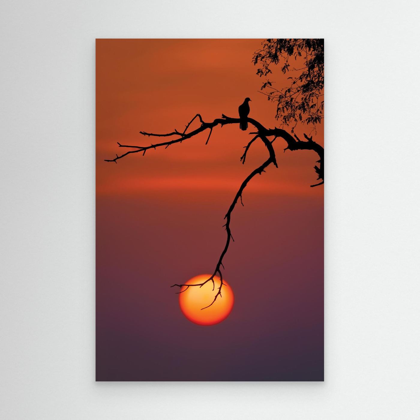 Holding the Sun by Khaldoon Aldway