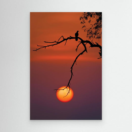 Holding the Sun by Khaldoon Aldway