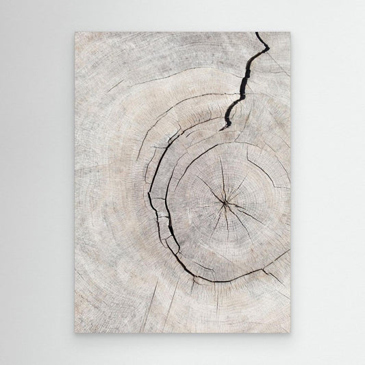 Pattern_wood_2 by Pictufy Studio Iii