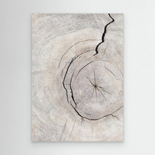 Load image into Gallery viewer, Pattern_wood_2 by Pictufy Studio Iii