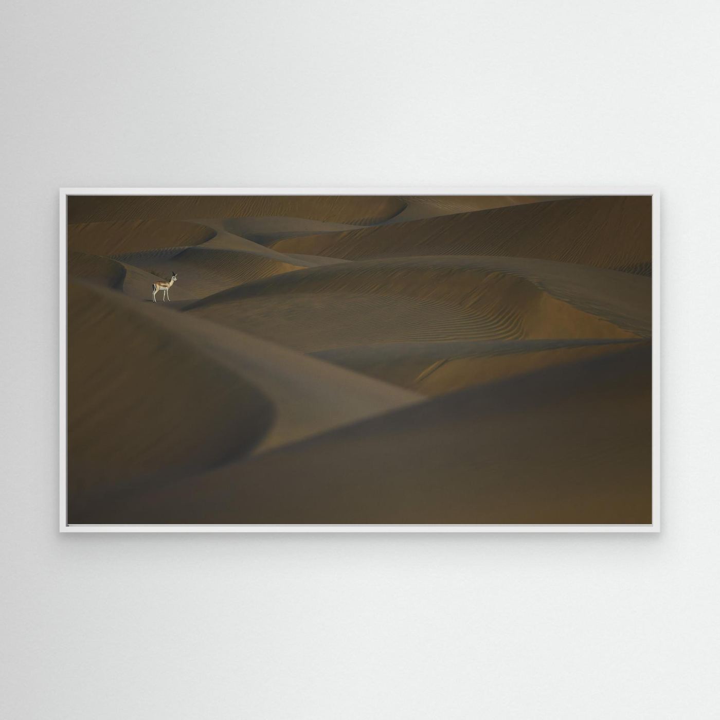 Desert Sentinel