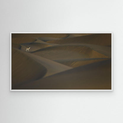 Desert Sentinel
