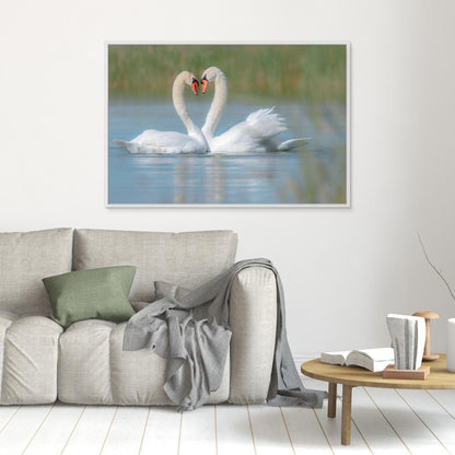 Love on the Lake by Khaldoon Aldway