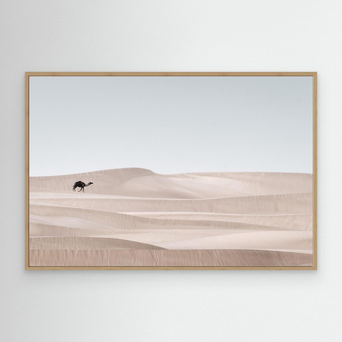 The Desert Wanderer by Khaldoon Aldway