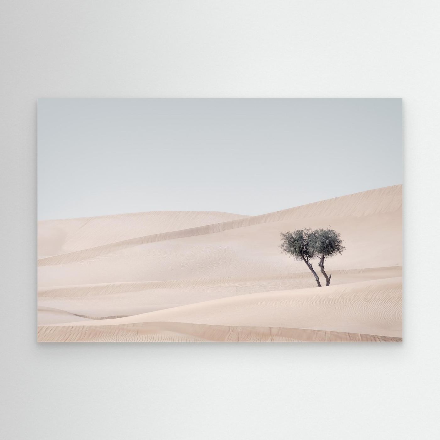 The Last Shade by Khaldoon Aldway