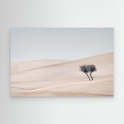 The Last Shade by Khaldoon Aldway