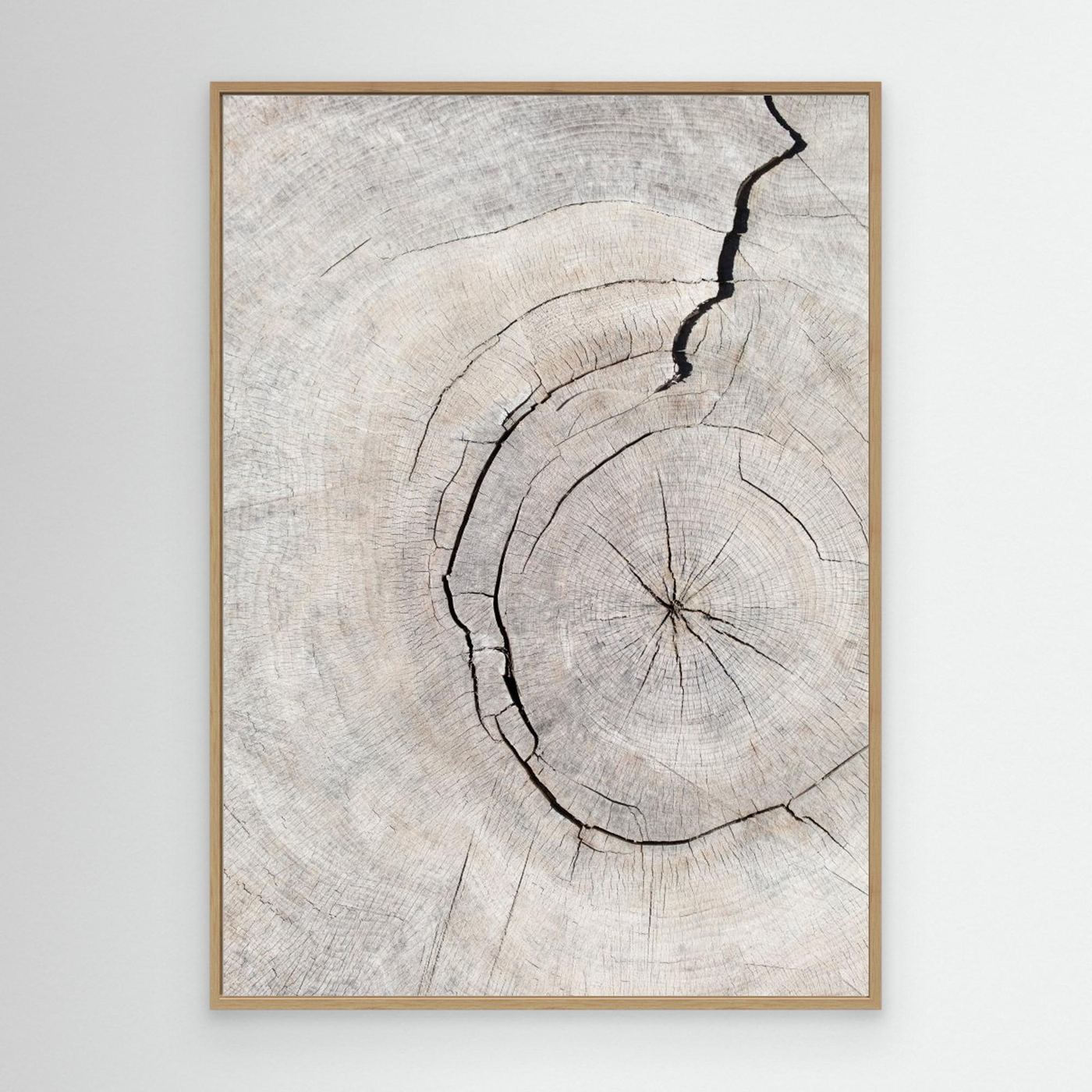 Pattern_wood_2 by Pictufy Studio Iii