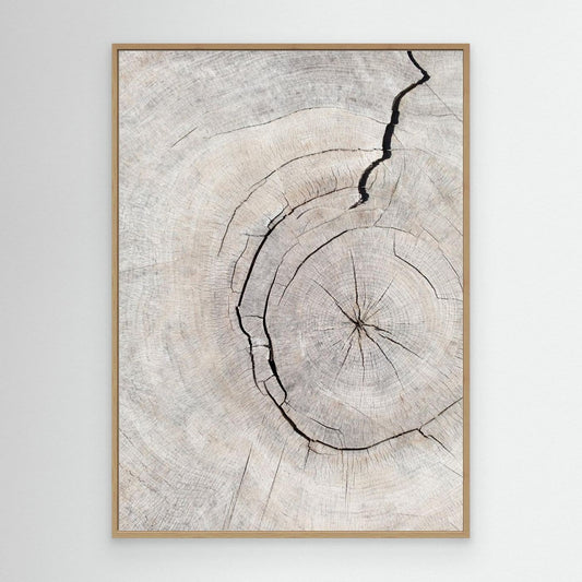 Pattern_wood_2 by Pictufy Studio Iii