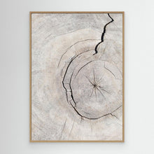Load image into Gallery viewer, Pattern_wood_2 by Pictufy Studio Iii