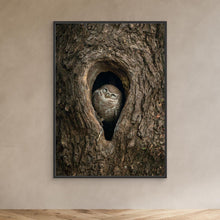 Load image into Gallery viewer, Peek from the Bark by Khaldoon Aldway