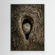 Load image into Gallery viewer, Peek from the Bark by Khaldoon Aldway