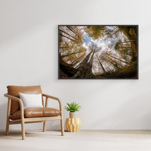 Load image into Gallery viewer, Golden Forest Sky View by Hakime Küçük