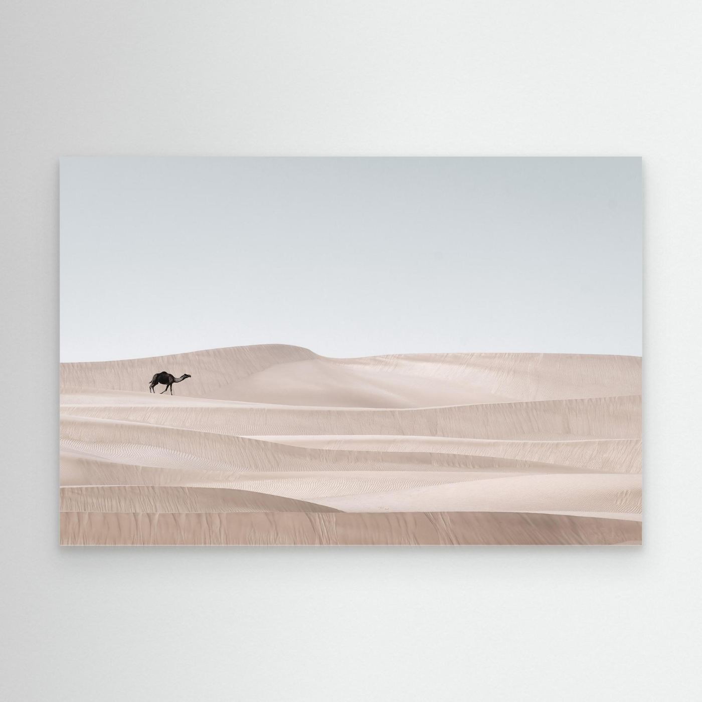 The Desert Wanderer by Khaldoon Aldway