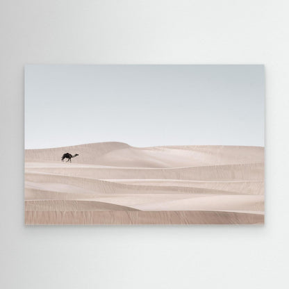 The Desert Wanderer by Khaldoon Aldway