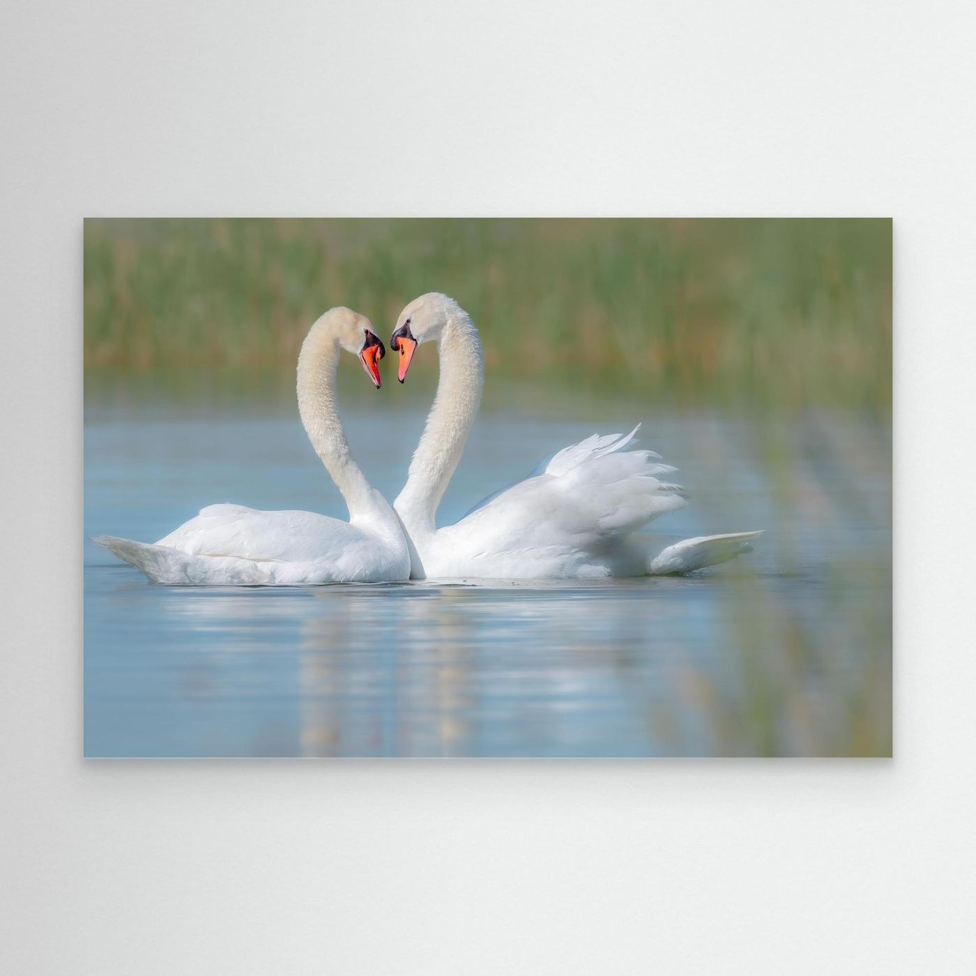 Love on the Lake by Khaldoon Aldway